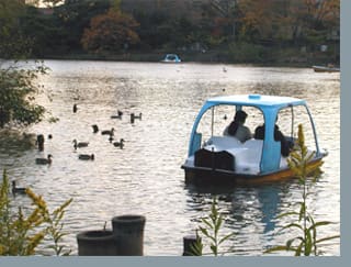 2003/12/07 洗足池（東京都太田区）