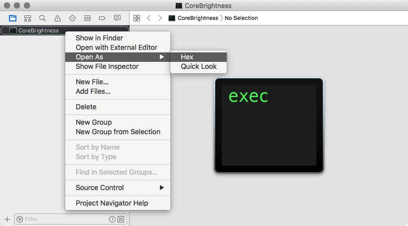Xcode Hexとして開く