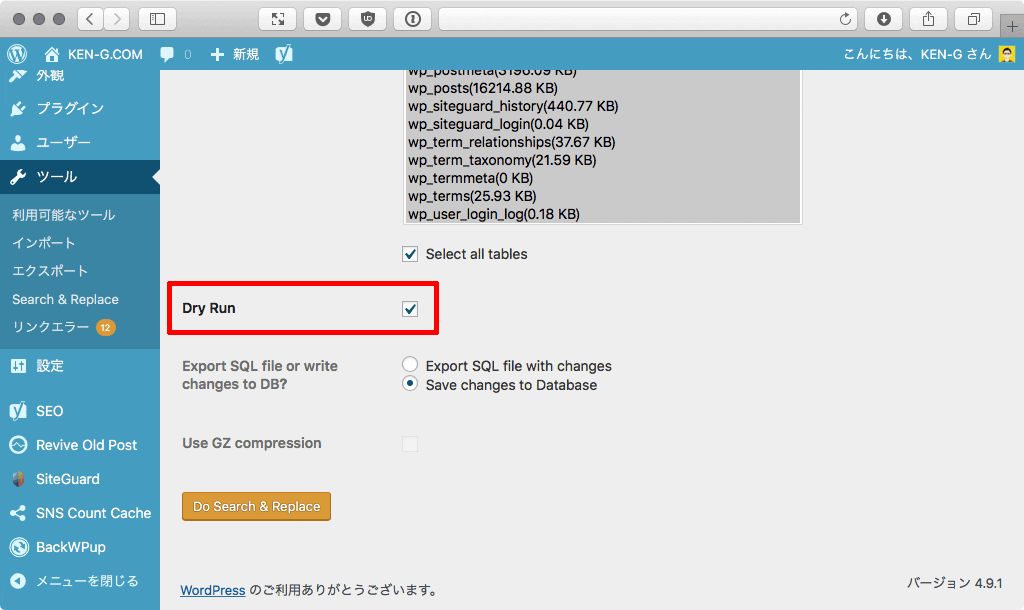 WordPressプラグイン「Search & Replace」